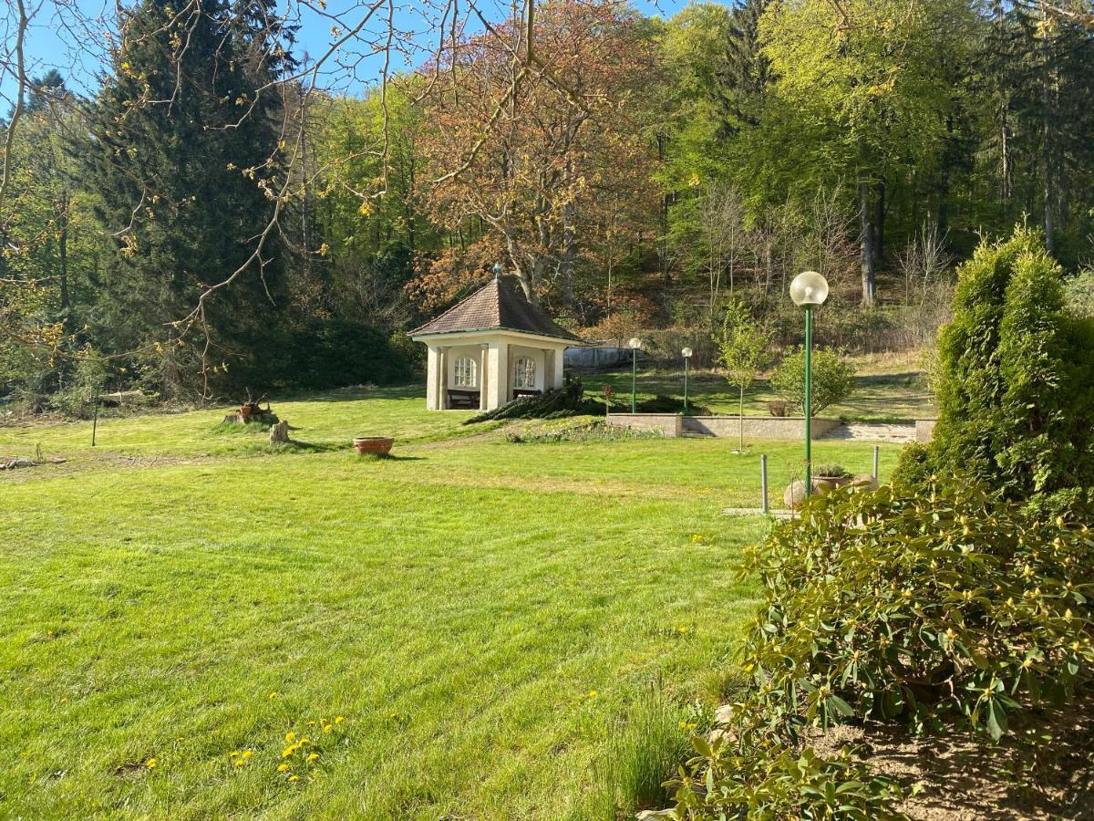 Parkhotel Bad Harzburg Kültér fotó