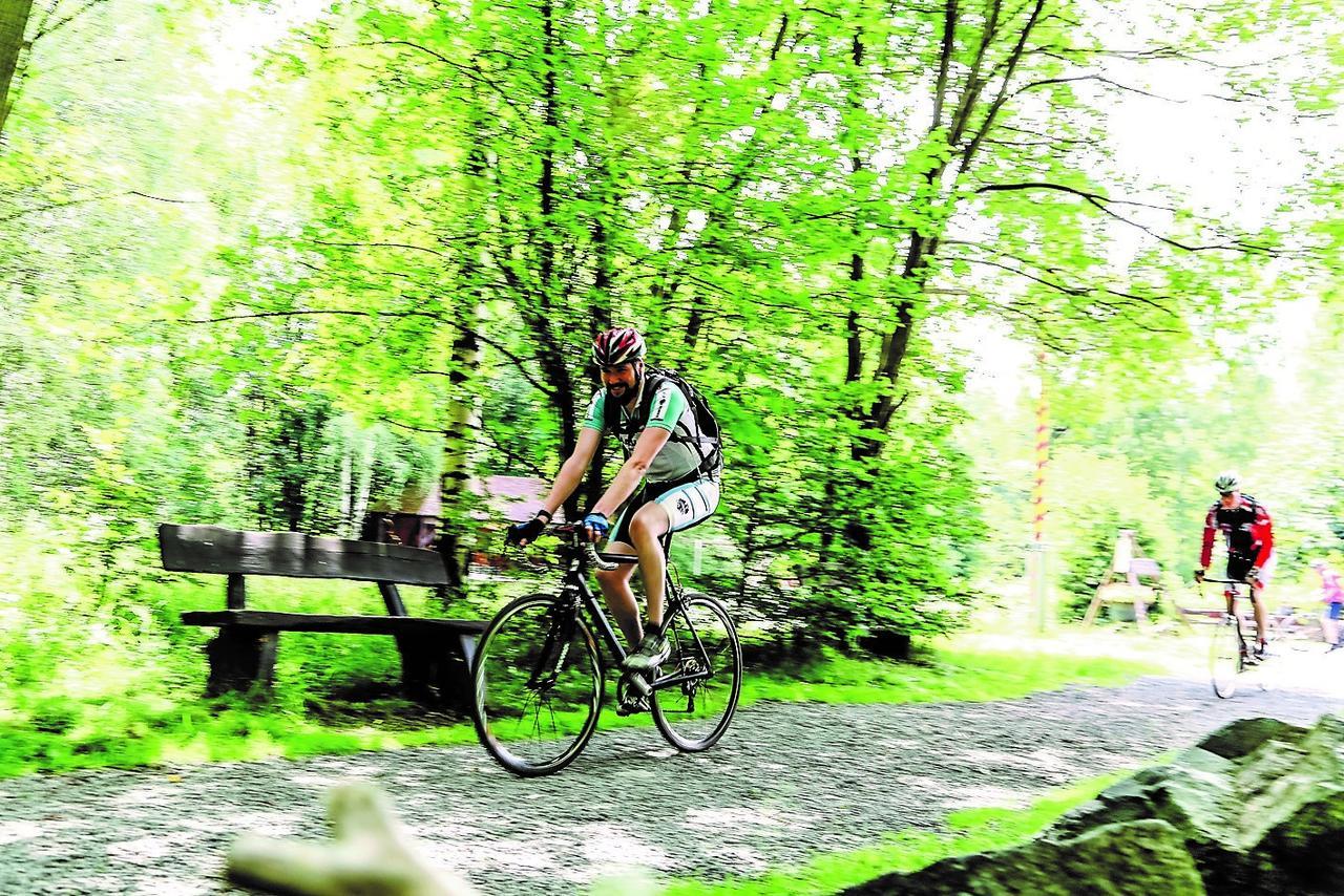 Parkhotel Bad Harzburg Kültér fotó